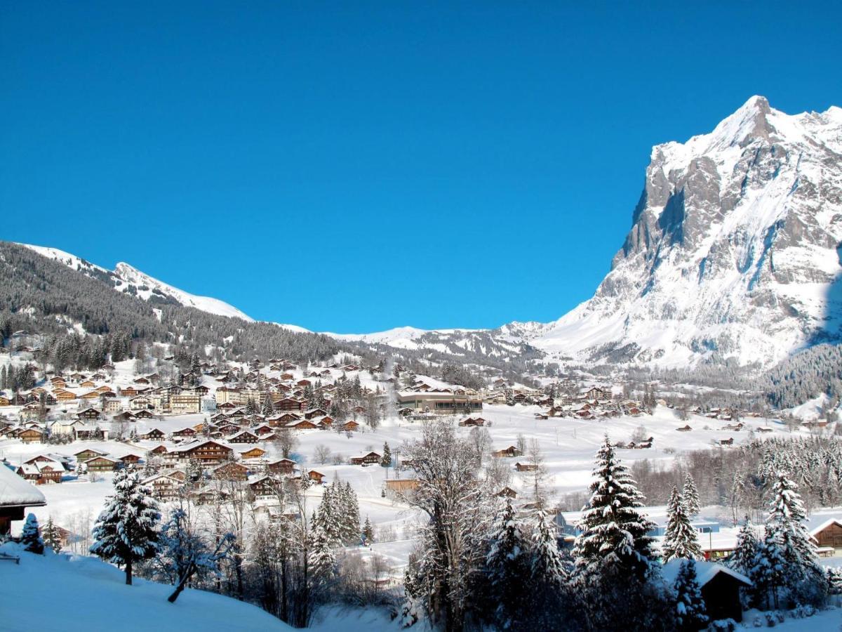 Apartment Chalet Almisräba Grindelwald Exteriör bild